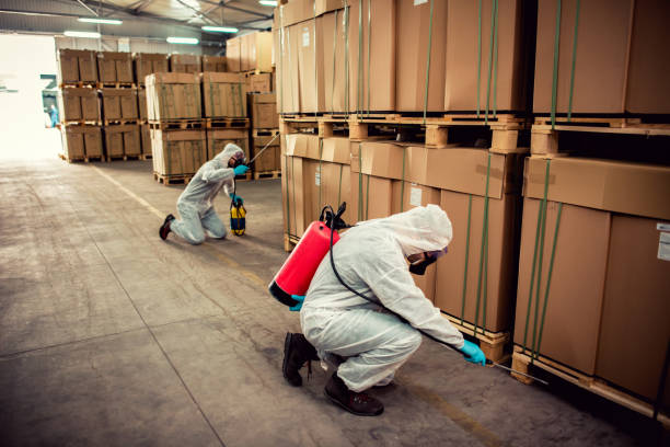 Best Pest Prevention Services  in Lewiston, UT