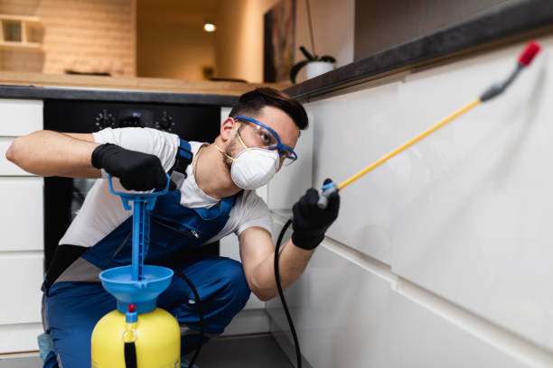 Reliable Lewiston, UT Pest Control Solutions