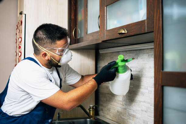 Best Rat Extermination Near Me  in Lewiston, UT