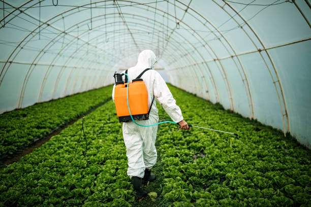 Best Pest Control Near Me  in Lewiston, UT