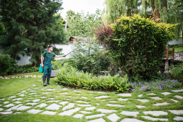 Best Local Pest Control Services  in Lewiston, UT