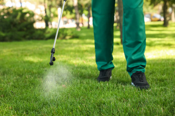 Best Best Pest Control Companies  in Lewiston, UT