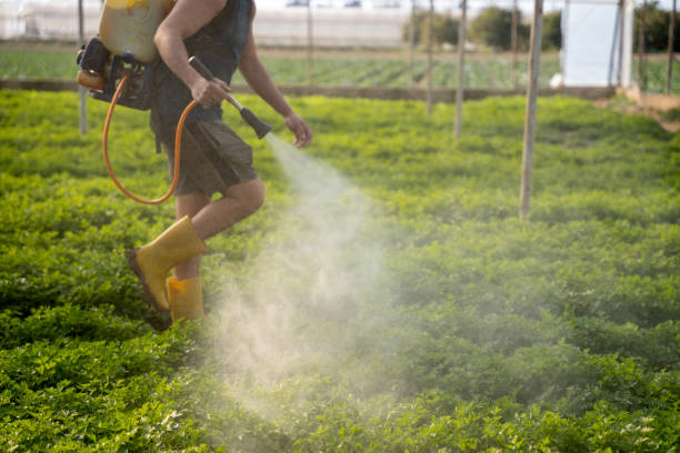 Best Insect Control  in Lewiston, UT