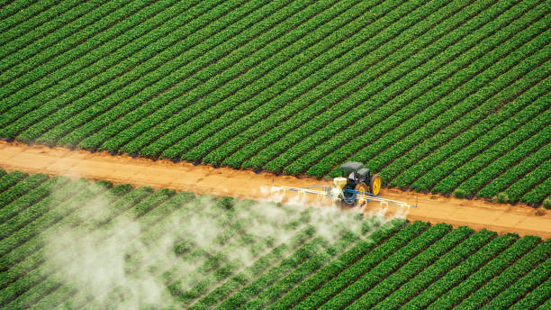 Pest Control Cost in Lewiston, UT