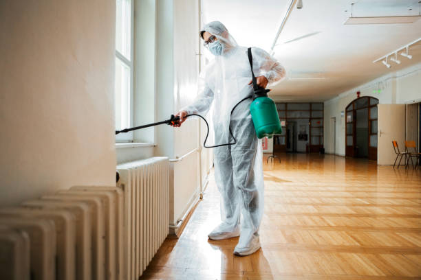 Best Wasp Removal Services  in Lewiston, UT